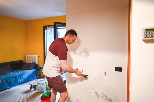 Best Crawl Space Mold Removal  in Lake Carmel, NY